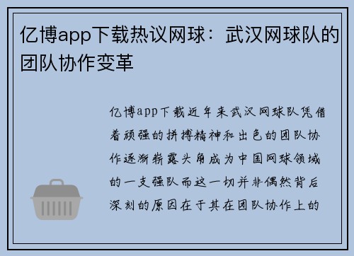 亿博app下载热议网球：武汉网球队的团队协作变革
